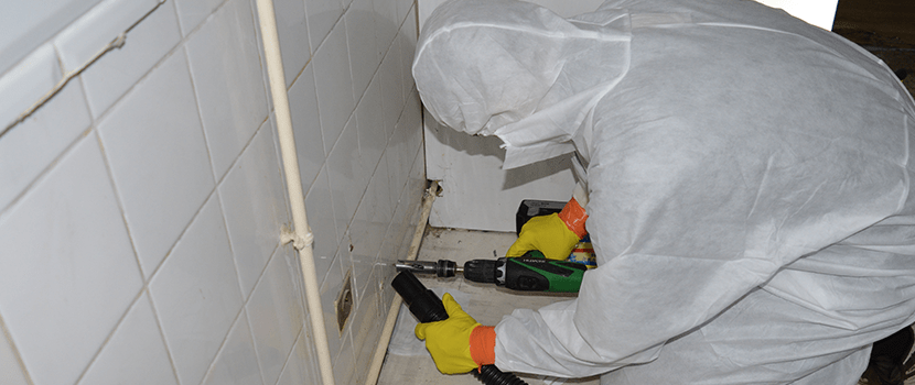 Amiante avant travaux